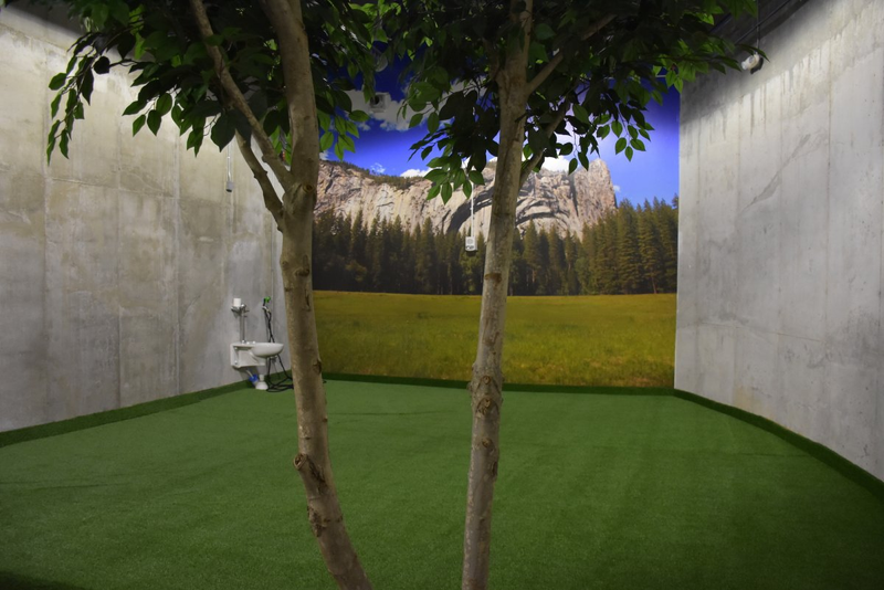 Foto: Survival Condo.